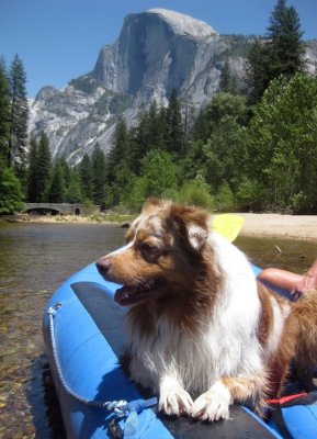 Skye Lea Floating the Merced in Yosemite Park