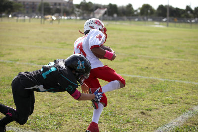 Oct202012_2881.jpg