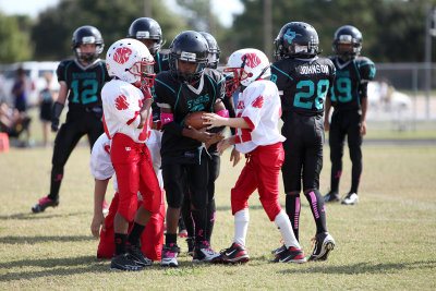 Oct202012_2923.jpg