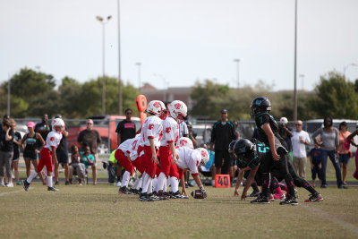 Oct202012_2929.jpg