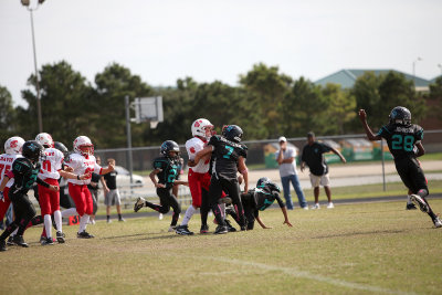 Oct202012_2937.jpg