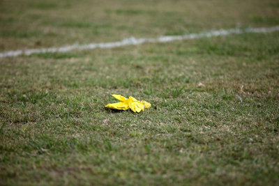 Oct202012_2969.jpg