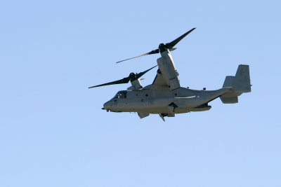 Oct282012_9524.jpg
