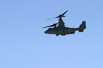 Oct282012_9525.jpg