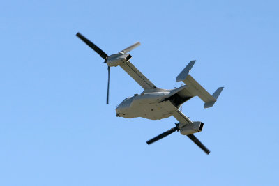 Oct282012_9557.jpg