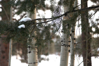Dec232012_5183.jpg