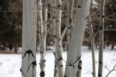 Dec232012_5193.jpg
