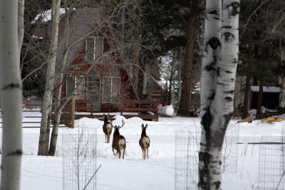 Dec232012_5194.jpg