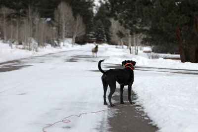 Dec232012_5212.jpg
