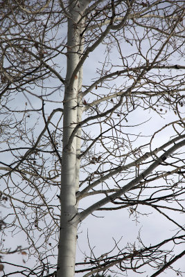 Dec232012_5226.jpg