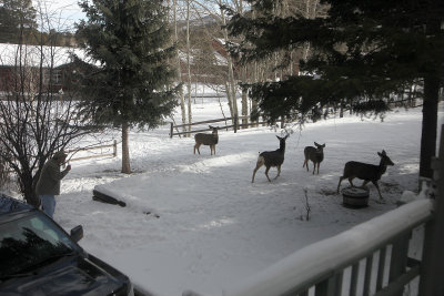 Dec242012_5350.jpg