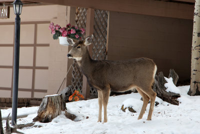 Dec242012_5358.jpg