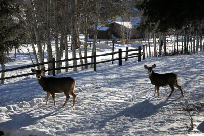 Dec252012_5400.jpg