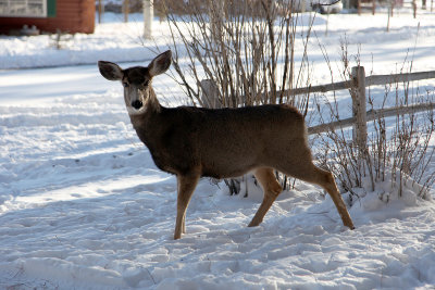 Dec252012_5414.jpg