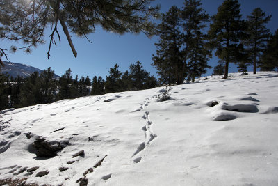 Dec252012_5449.jpg
