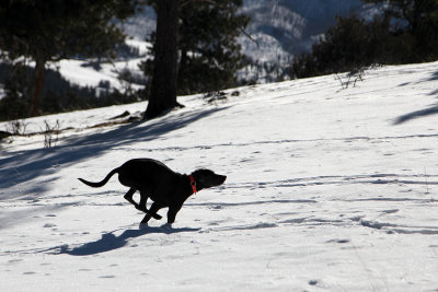 Dec252012_5474.jpg
