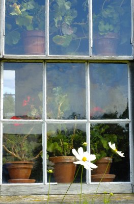 Olson House Window