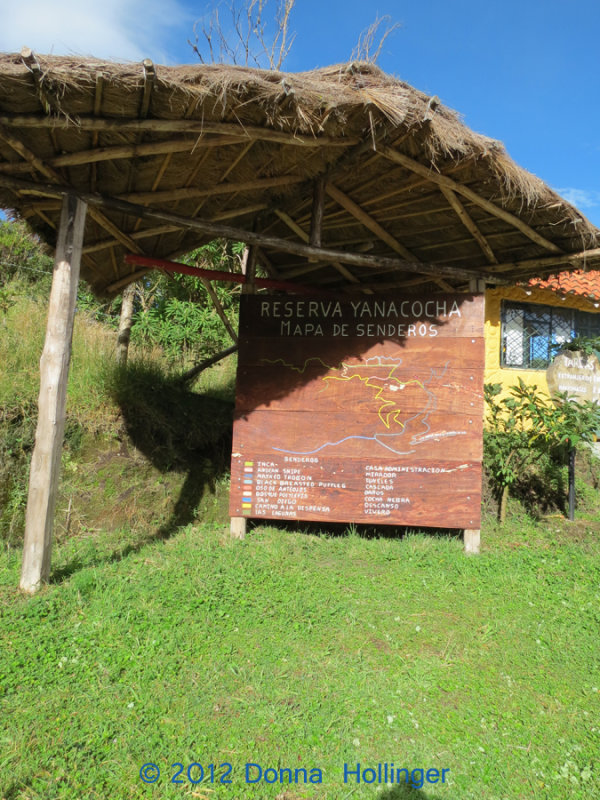 Welcome to Yanacocha Reserve