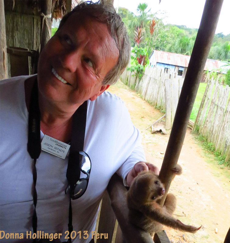 Two month old Sloth will steal your heart away!