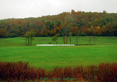 Hay Bales in Pomfret