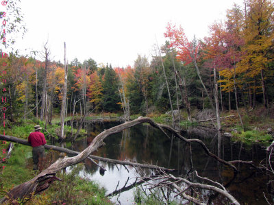Fall 2012 Beaver Pond