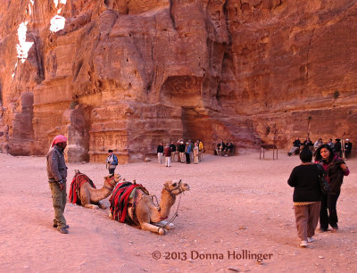 A Bedouin Man with Camels at the Treasury