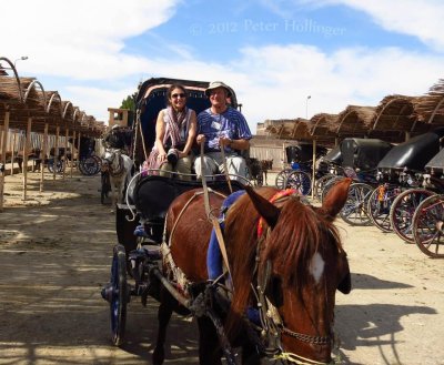 Travelling by Carriage in Egypt