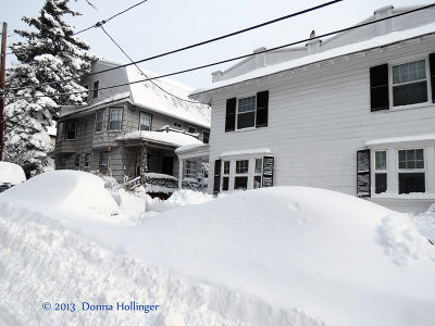 Snow Buried Cars 