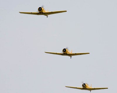 2006_07_06_8291