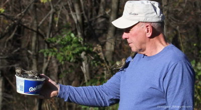 Feeding Birds From the Hand