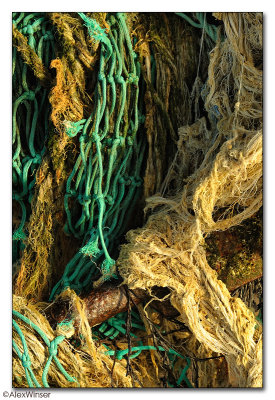 Discarded Nets