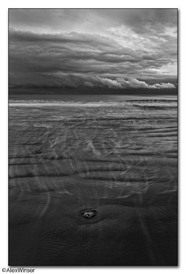 Alone on the Beach