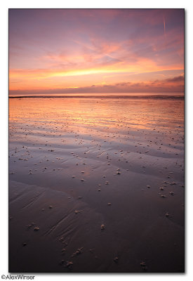 Sand & Sky