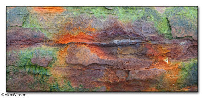 Rust Rainbow II