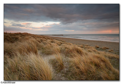 Sunset in the Dunes