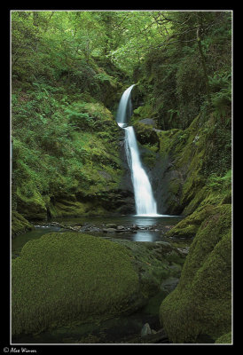 Dolgoch Falls