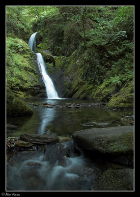 Dolgoch Falls