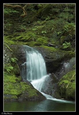 Dolgoch Falls