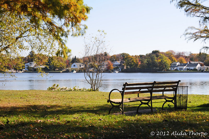 Arboretum: Connetquot River