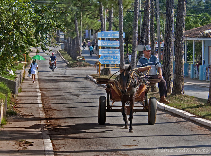 horse buggy Vinales 