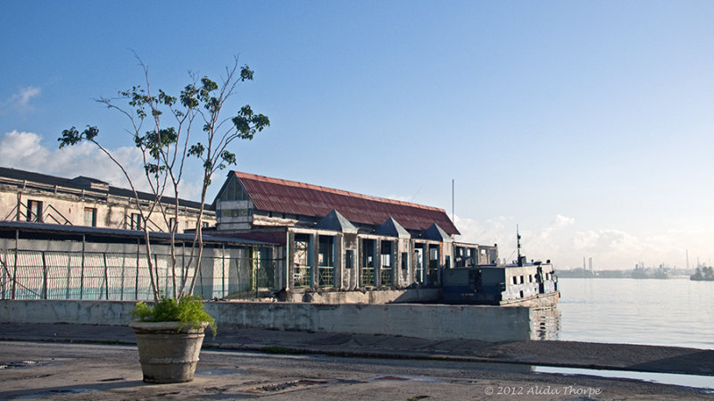 the dock Havana 