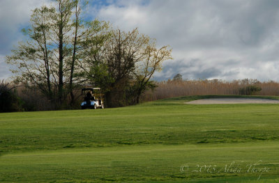 golf cart on course