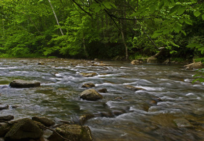 Back Fork of the Elk River