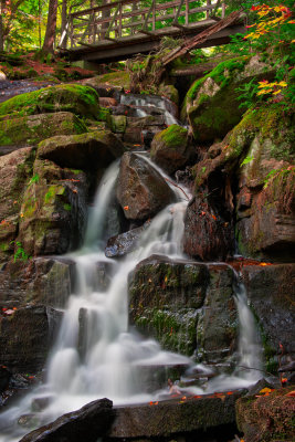 _DSC0988-Edit.jpg