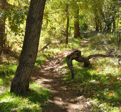 A_True_Path.jpg
