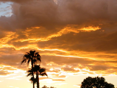 looking west