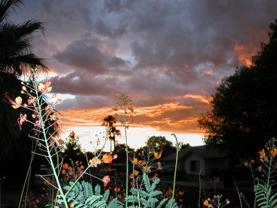 pretty!