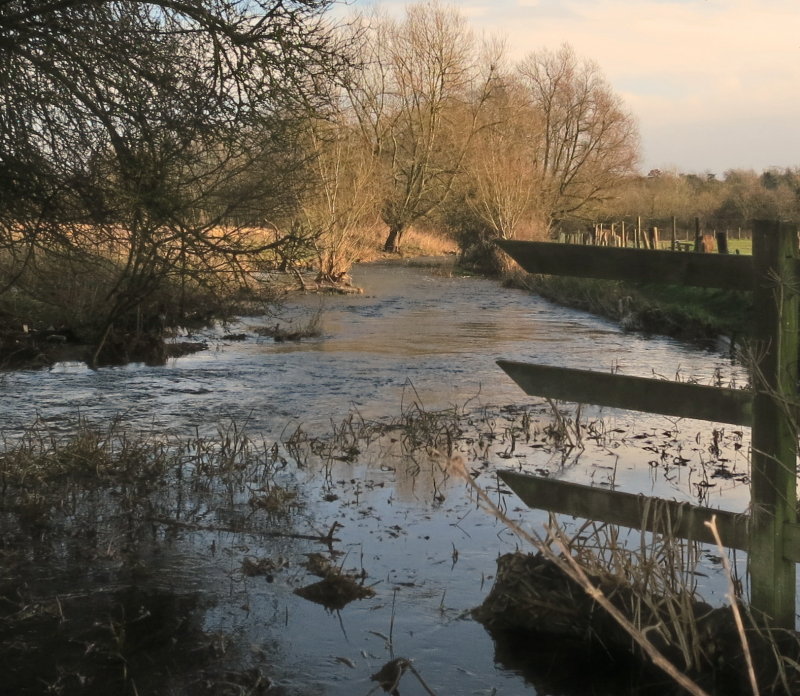 The  River  Darent  in  spate