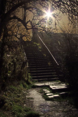 Steep  steps  at  night.