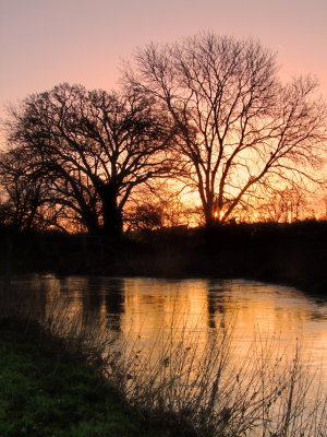 Sunrise  over  the  Roding, in  spate.
